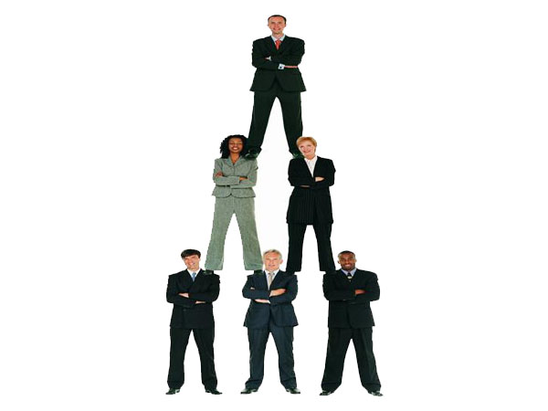 《高绩效团队建设与管理》